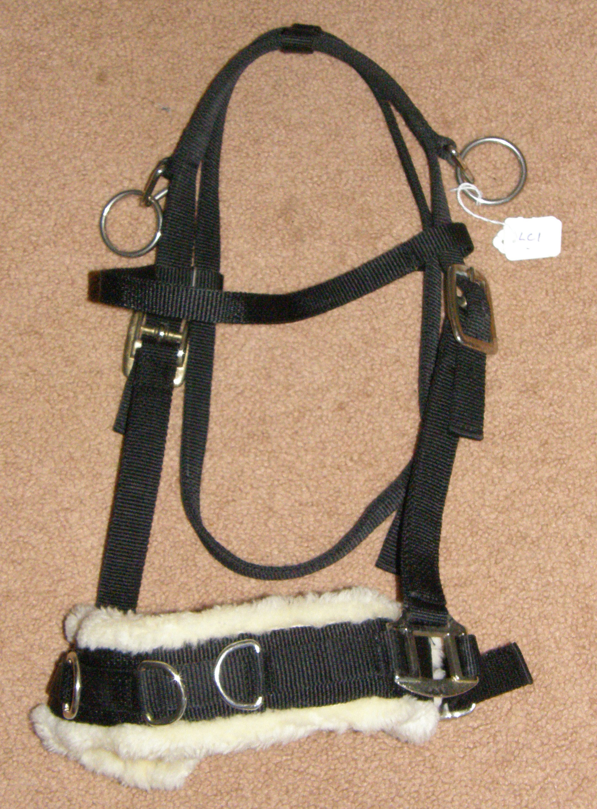 training equipment lunging